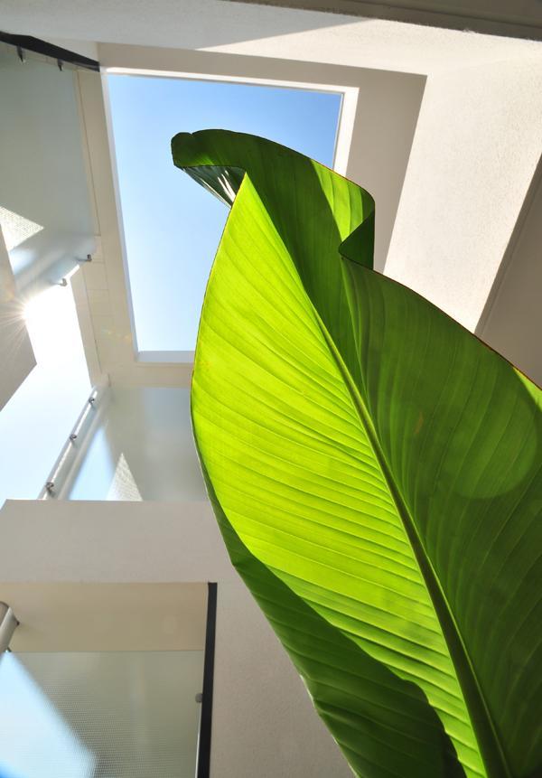 Hotel Eden Park Pau Est, Avec Piscine Kültér fotó